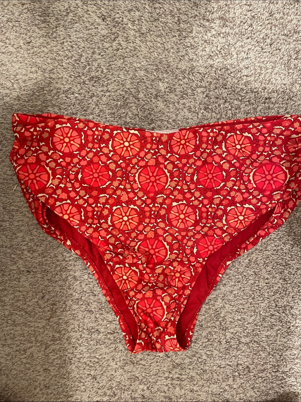 RHODE x Target high waisted bikini bottoms red and pink "Zinnia" floral print 1x